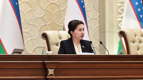 Oliy Majlis of Uzbekistan approves draft law focused on soil protection
