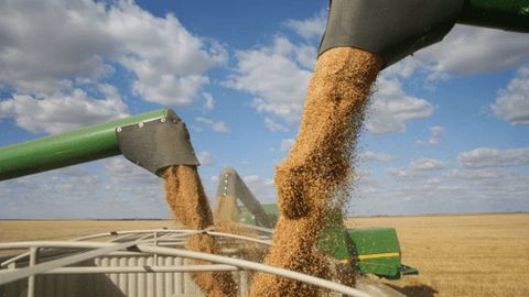 Zelensky calls for enhanced air defence to safeguard Ukraine's grain trade&nbsp;&nbsp;