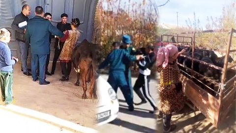 Molini olib ketmasliklarini so&lsquo;rab yig&lsquo;layotgan bola, 5 sutkalik qamoqqa ketgan qarindosh, tortib olingan qo&lsquo;ylarni sanayotgan ayol: Chustda qarzdorlikni undiruv holatlari bo&lsquo;yicha izoh berildi