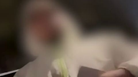 Тошкентдаги кафе ишчиси тунги вақтда аёлларни киритмагани учун жаримага тортилди