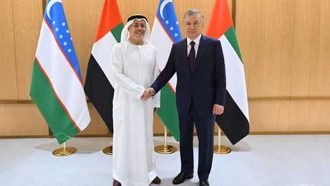 President of Uzbekistan explores collaboration plans with AMEA Power for green energy &nbsp;
