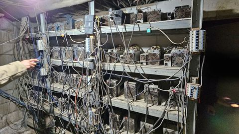 Navoiyda elektr energiyasidan noqonuniy foydalangan yana bir mayning ferma aniqlandi