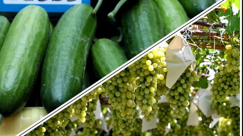 Bodring qimmatlashib, uzum arzonlashdi. Bozorlarda narx-navo qanday?