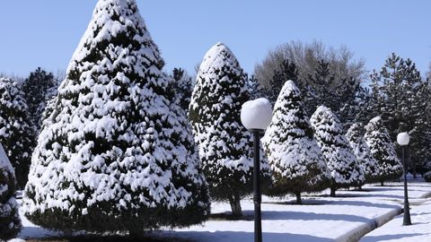 Ўзбекистонда 14 декабрь куни қандай об-ҳаво бўлади?
