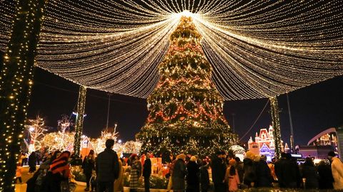 Где в Ташкенте установят новогодние ёлки?