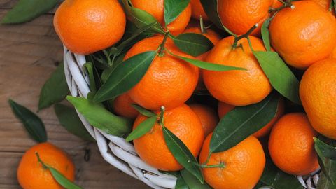 EastFruit: Uzbekistan's tangerine market faces 20% decrease in prices&nbsp;