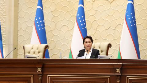 &ldquo;Кексалар, болали аёллар, ногиронлиги бўлган шахслар ерусти пиёда ўтиш кўприкларидан фойдаланганда қийналаётгани, бундан норози эканига гувоҳ бўляпмиз&rdquo; &mdash; Танзила Норбоева