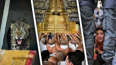 Ka&rsquo;ba eshigiga intilayotganlar, odamlarga tashlangan leopard, yoqib yuborilgan poyezd &mdash; 20-dekabr suratlari