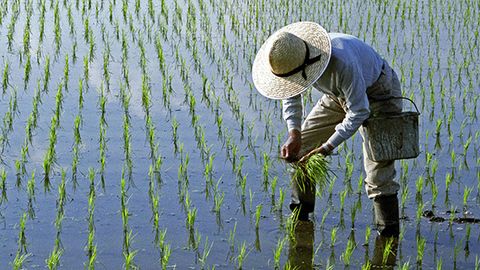 Central Asian nations face water crisis: Uzbekistan's 1,760 cubic meters per capita&nbsp;
