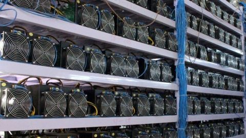 Samarqandda fuqaro o&lsquo;z uyida noqonuniy mayning ferma tashkil qilgani aniqlandi