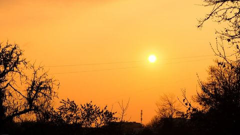 O&lsquo;zbekistonda 25-dekabr kuni harorat 22 darajagacha ko&lsquo;tariladi