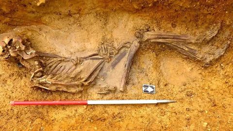 Britaniyada 2 ming yil avval yashagan odam skeleti topildi (foto)