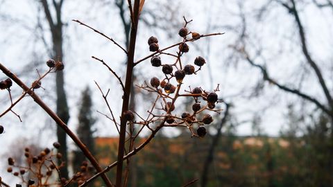 O&lsquo;zbekistonning qator hududlarida 26-dekabr kuni yomg&lsquo;ir yog&lsquo;ishi kutilmoqda