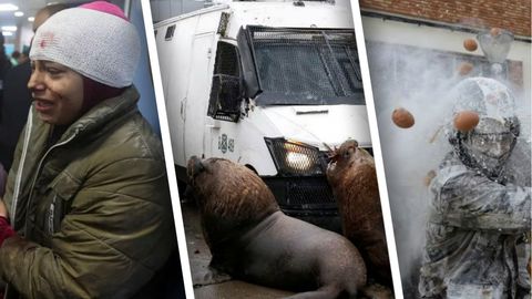 Dengiz sherlari bilan to&lsquo;qnashuv, bir-biriga tuxum uloqtirayotganlar, yarador bolasini ko&lsquo;tarib olgan ona &mdash; 28-dekabr suratlari&nbsp;