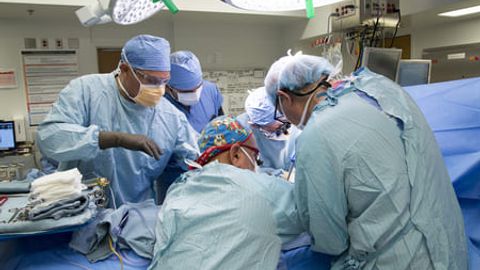 First successful liver transplant in Uzbekistan signals medical advancement&nbsp;&nbsp;