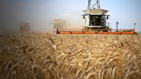 Kazakhstan to supply 1.2 mn tons of grain to Uzbekistan in January &nbsp;