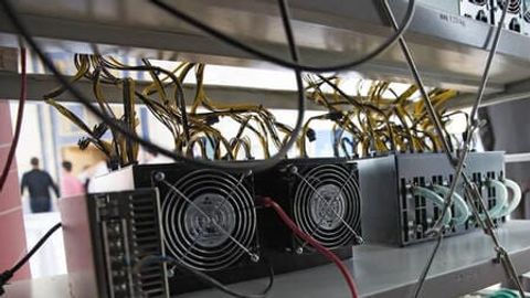 Qo&lsquo;qondagi qandolatchilik korxonasida mayning ferma tashkil qilingani aniqlandi