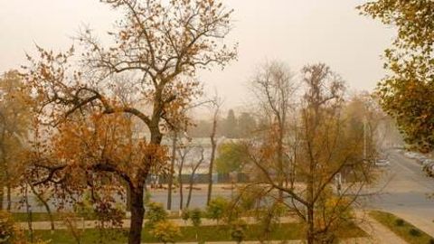 Toshkent havosi ifloslanishi yana &ldquo;zararli&rdquo; darajaga chiqdi