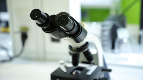 Tashkent Pharma Park hududida &ldquo;Biotexnologiyalar klasteri&rdquo; tashkil etiladi