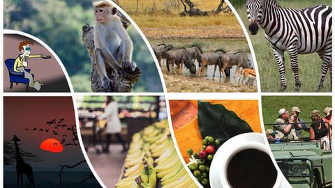 O&lsquo;zbek tilidagi afrikalik so&lsquo;zlar: ularning rang-ro&lsquo;yi qanday?&nbsp;