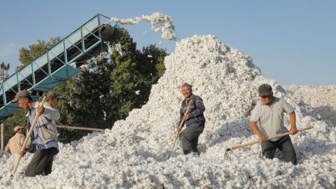 U.S.-funded program aims to eradicate forced labor in Uzbekistan's cotton industry&nbsp;