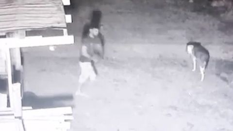 Самарқандда қурилиш объекти қоровулини ўлдирган шахс 15 йилга қамалди