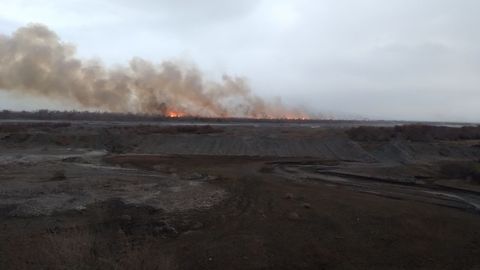 &ldquo;Зарафшон&rdquo; миллий табиат боғида содир бўлган ёнғин юзасидан жиноят иши қўзғатилди