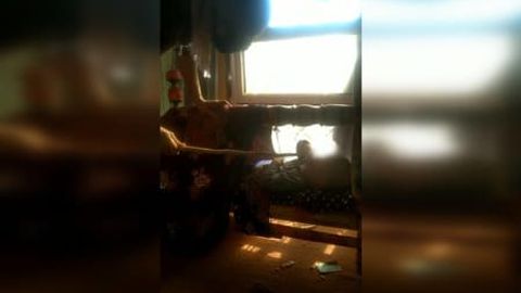 Buxoroda ayol farzandini beshikka bog&lsquo;lab, muttasil kaltaklab, qiynab kelgani aniqlandi