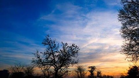 Ўзбекистонда 17 январь куни қандай об-ҳаво кутилаётгани маълум қилинди