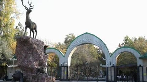 В столичном зоопарке проходит реконструкция