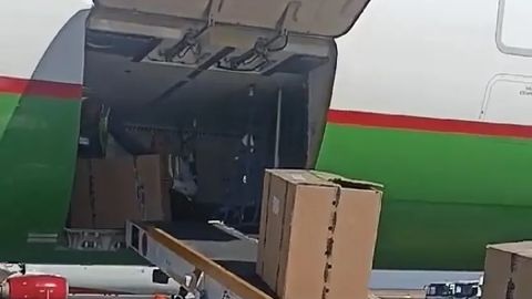 Egypt to continue delivering anti-hepatitis C drugs to Uzbekistan throughout 2024