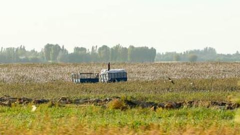 Таджикистан заинтересован в создании совместного агрокластера с Узбекистаном