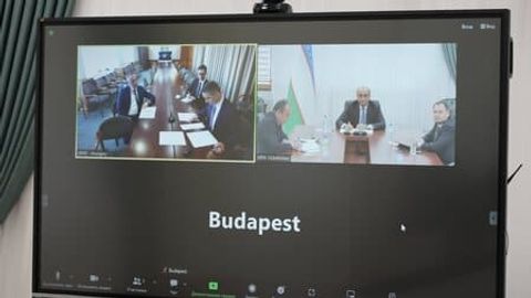 Uzbekistan and Hungary forge closer ties in virtual meeting&nbsp;