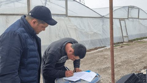 В Ташобласти проверят теплицы на предмет загрязнения &nbsp;