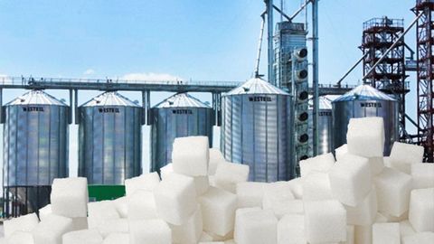 Afghanistan's sugar refinery reopens after 20-year dormancy