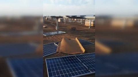 Kuchli shamol Surxondaryoda qurilayotgan quyosh elektr stansiyasi panellarini qulatdi