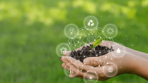 Uzbekistan to implement green initiatives by 2030&nbsp;