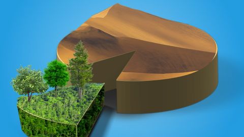 Uzbekistan allocates 11% of national budget to climate-friendly activities