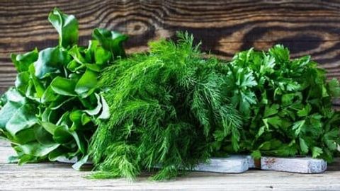 EastFruit: Uzbekistan and Iran&rsquo;s fresh herbs dominate eastern EU markets&nbsp;