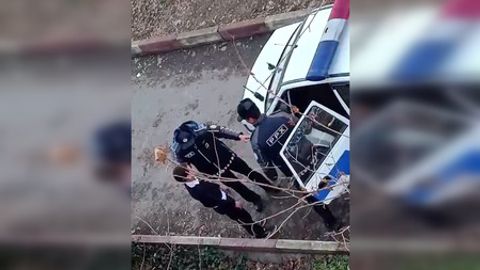 Toshkentda PPX xodimlari maktab o&lsquo;quvchisiga kuch ishlatgani aniqlandi