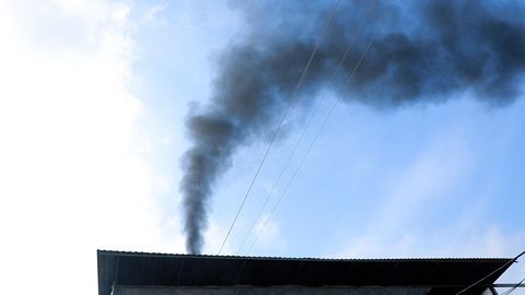 Шины вместо топлива: теплица на юге Ташкента нарушила закон &laquo;Об охране окружающей среды&raquo;