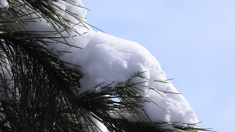 O&lsquo;zbekistonda 5-fevral kuni qanday ob-havo kutilayotgani e&rsquo;lon qilindi