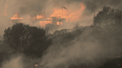 Uncontrolled forest fires leave 64 dead in Chile