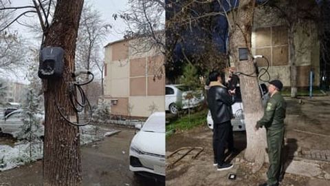 Toshkentda daraxtga elektromobil quvvatlagichini o&lsquo;rnatgan fuqaro 1,7 mln so&lsquo;m jarimaga tortildi