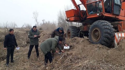 Xorazmda 81 tup daraxt kesgan fermer xo&lsquo;jaligi rahbariga jinoyat ishi qo&lsquo;zg&lsquo;atildi