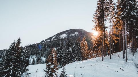 Kazakhstan's winter breaks 36-year temperature record&nbsp;