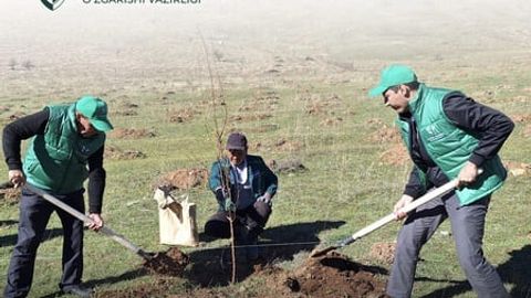 Uzbekistan's 'Yashil Makon' initiative thrives with over 600 hectares of transformed green gardens&nbsp;