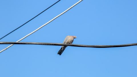 Ўзбекистонда дам олиш кунлари қуёшли ва илиқ об-ҳаво бўлади
