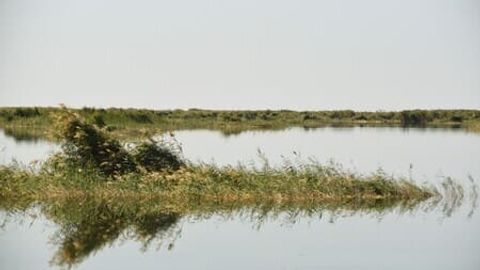 Ўзбекистоннинг яна бир табиий мерос объекти халқаро аҳамиятга эга сувли-ботқоқли ерлар рўйхатига киритилди