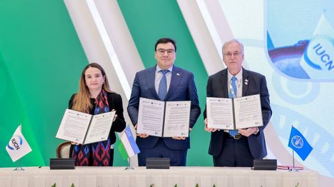 FAO, Ministry of Ecology, and IUCN partner for land restoration in Uzbekistan&nbsp;